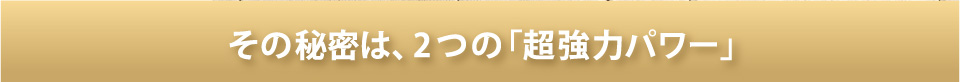 その秘密は、2つの「超強力パワー」